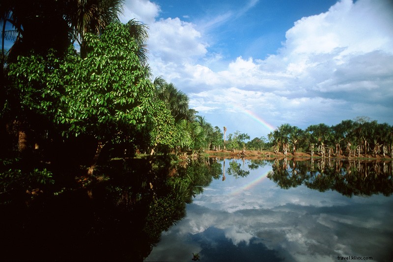 Reality Bites: Thrilling Adventures in Brazil s Pantanal Jungle