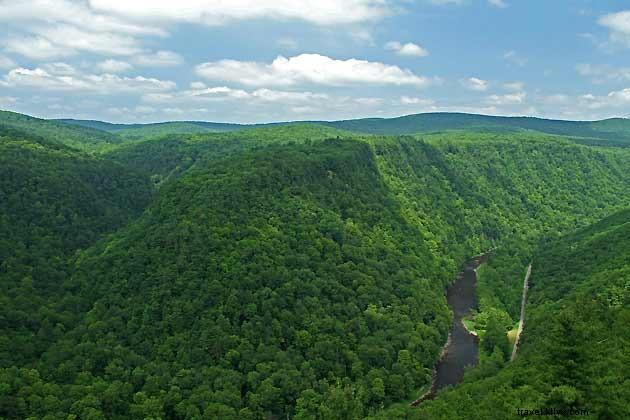 Discover Pennsylvania s Tioga State Park: The East Coast s Stunning  Grand Canyon  Gorges