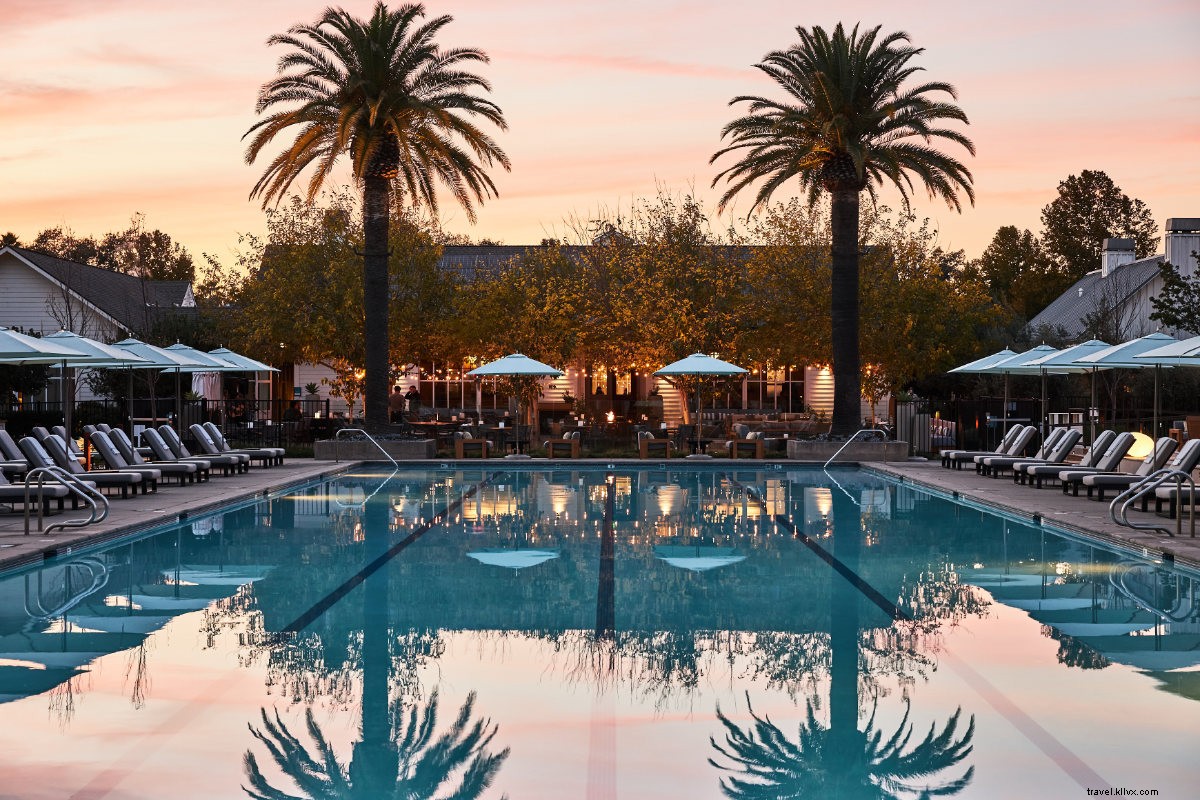 Napa Valley 2.0: Discover the New Provence for Wine Lovers