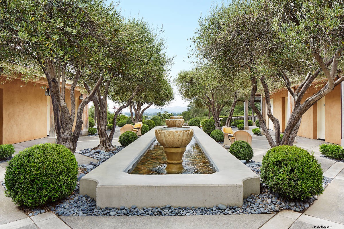 Napa Valley 2.0: Discover the New Provence for Wine Lovers