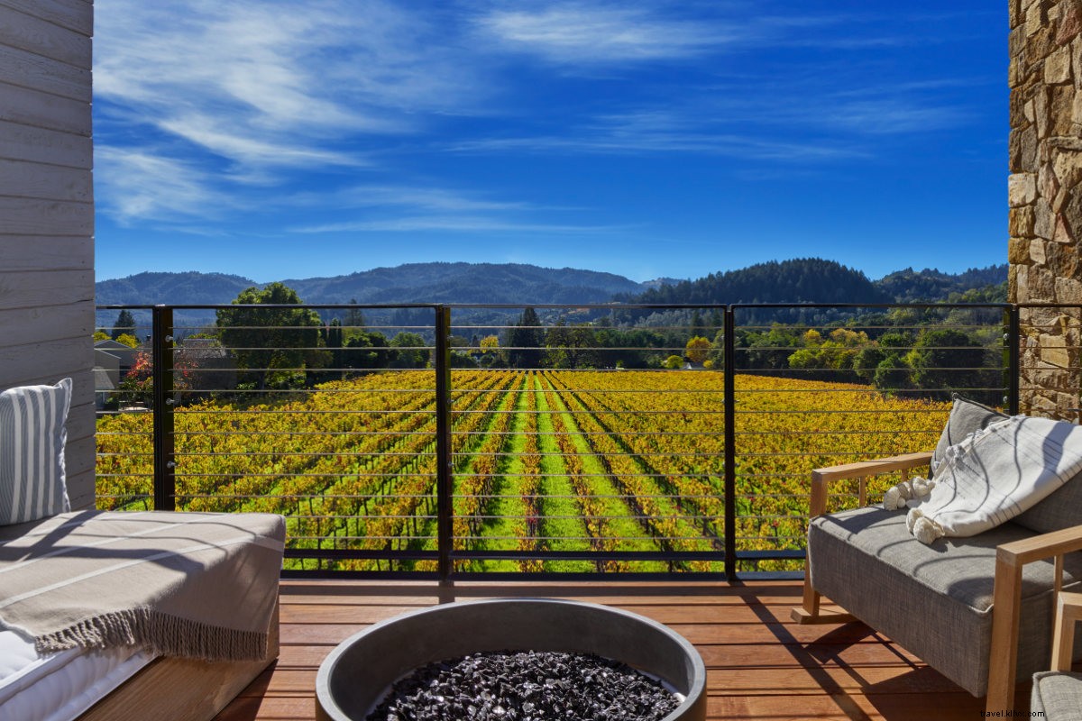 Napa Valley 2.0: Discover the New Provence for Wine Lovers