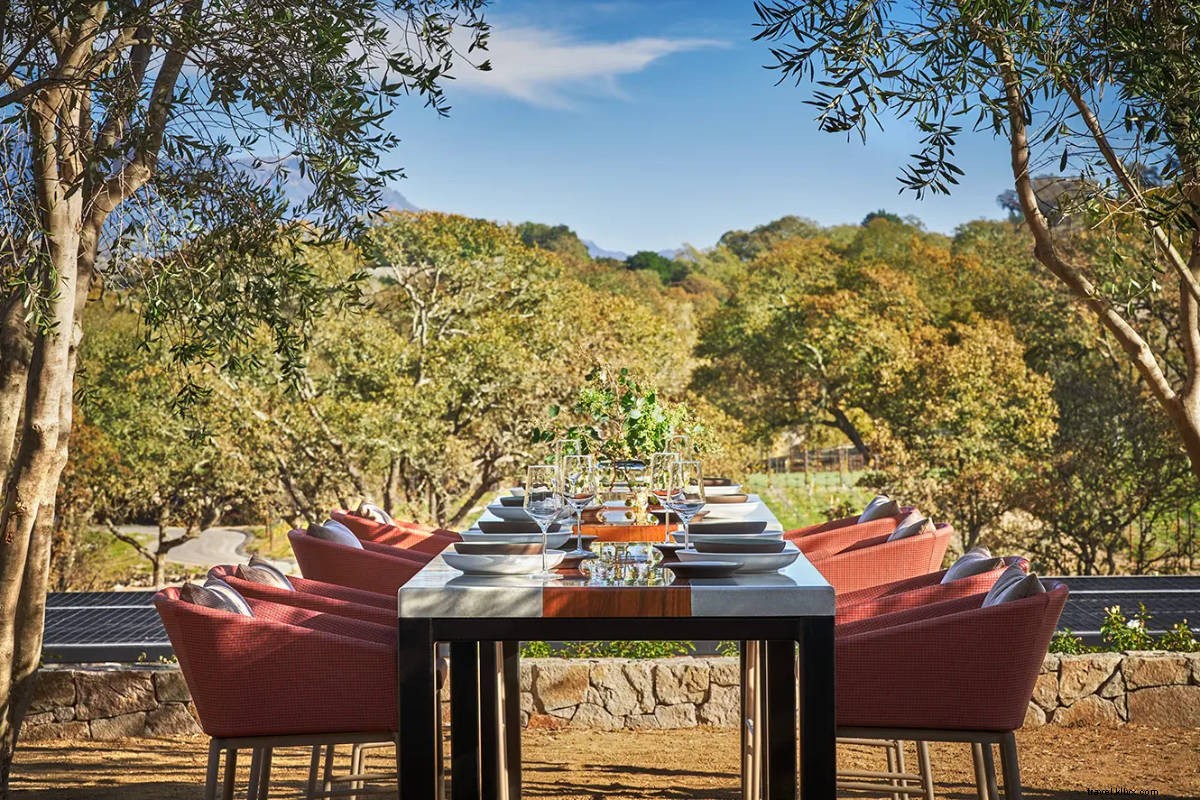 Napa Valley 2.0: Discover the New Provence for Wine Lovers