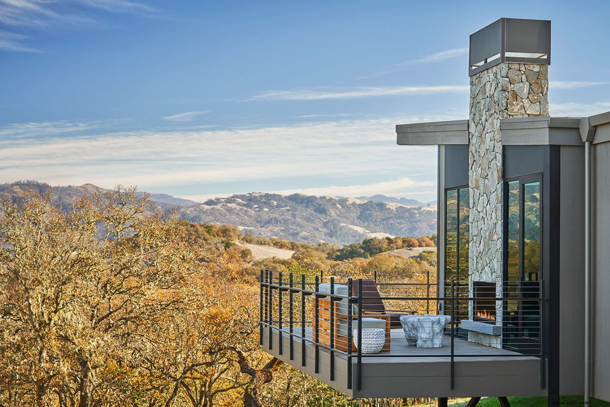 Napa Valley 2.0: Discover the New Provence for Wine Lovers