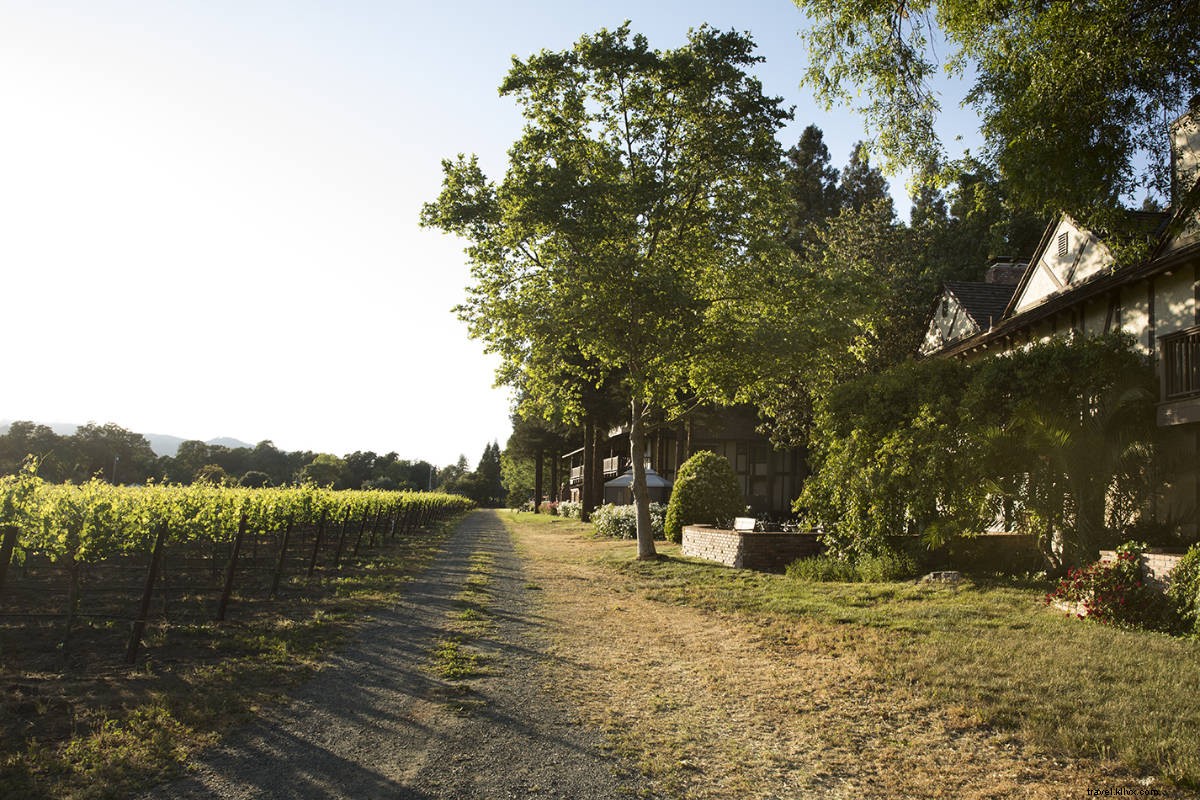 Harvest Inn: Your Cozy Village Retreat in the Heart of Napa Valley
