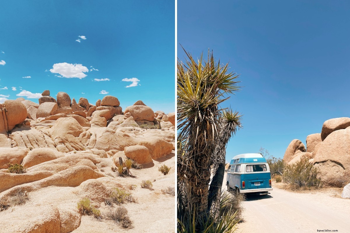 Revitalized in Palm Springs Desert: Awe-Inspiring Landscapes and Retro Charm