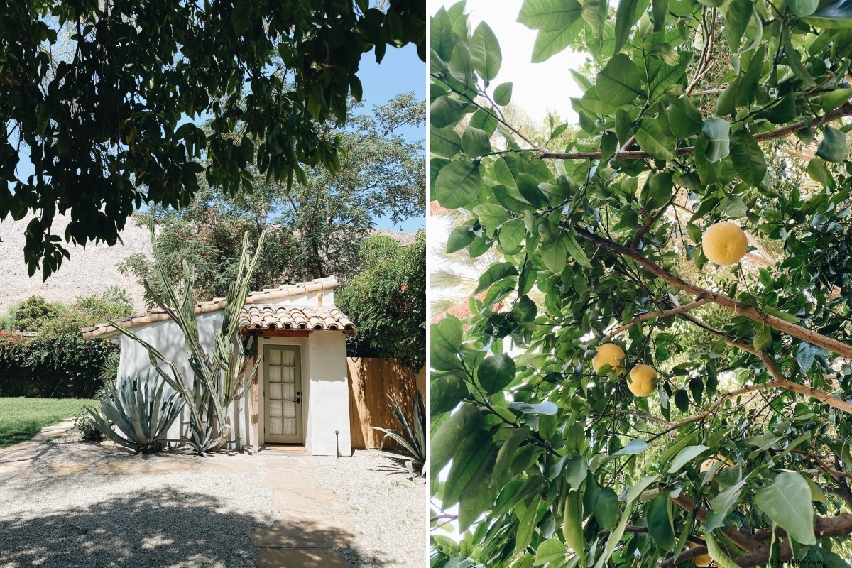 Revitalized in Palm Springs Desert: Awe-Inspiring Landscapes and Retro Charm