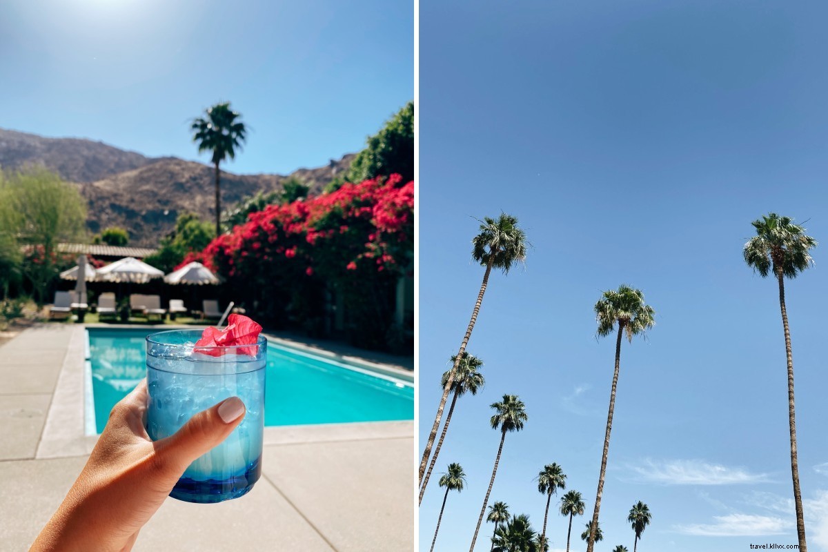 Revitalized in Palm Springs Desert: Awe-Inspiring Landscapes and Retro Charm