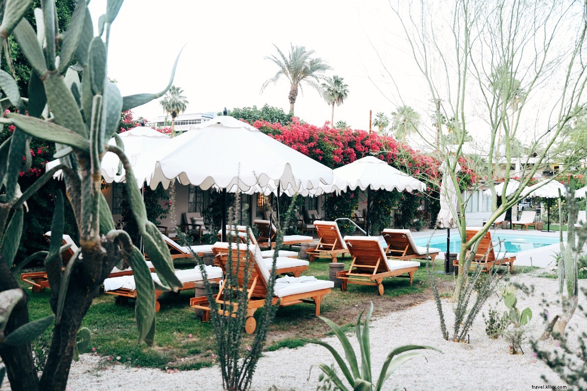 Revitalized in Palm Springs Desert: Awe-Inspiring Landscapes and Retro Charm