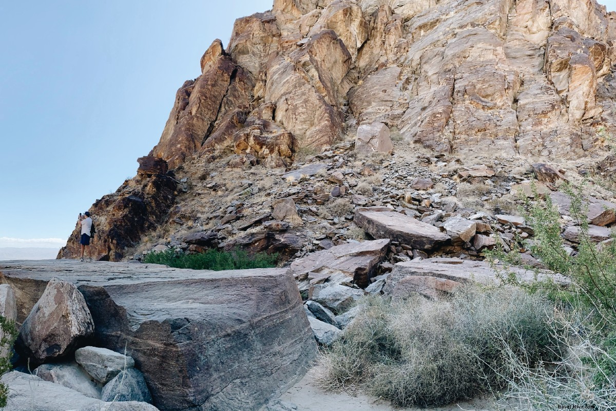 Revitalized in Palm Springs Desert: Awe-Inspiring Landscapes and Retro Charm