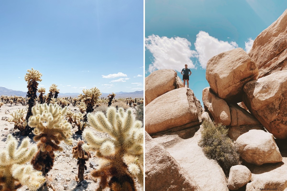 Revitalized in Palm Springs Desert: Awe-Inspiring Landscapes and Retro Charm