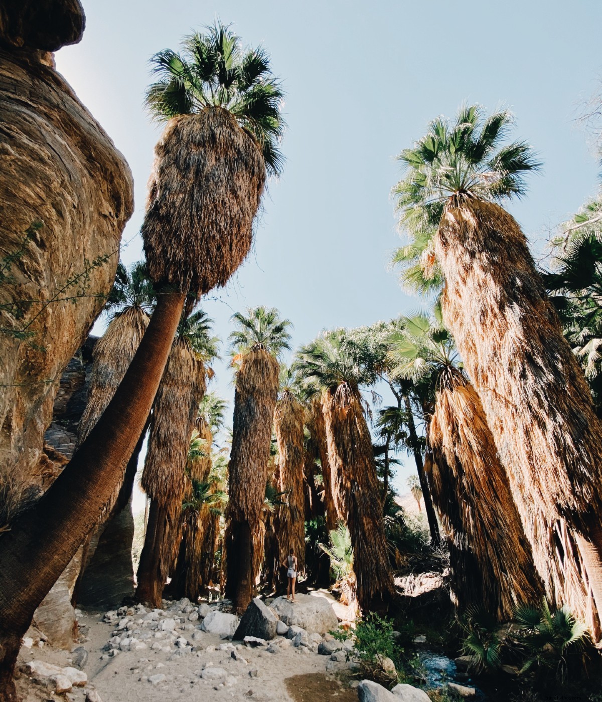 Revitalized in Palm Springs Desert: Awe-Inspiring Landscapes and Retro Charm