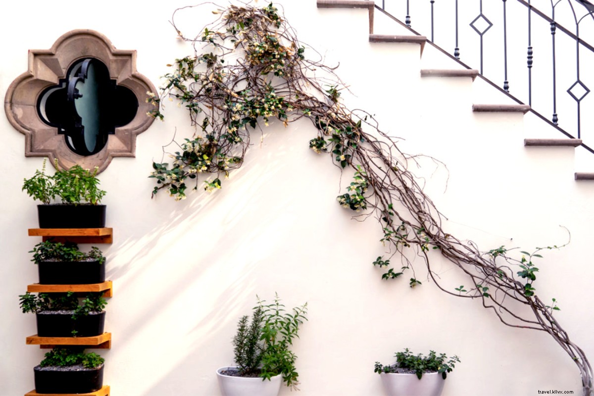 Discover the Hidden Marvels Behind San Miguel de Allende s Iconic Doors