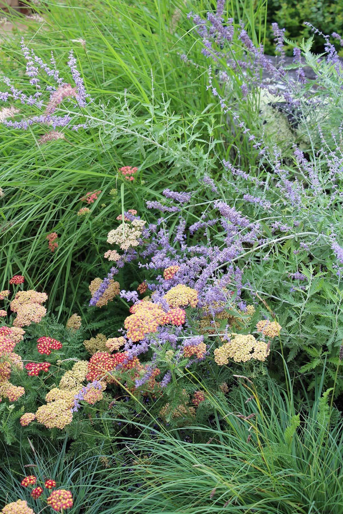 Blackberry Farm: Luxurious Mountainside Retreat in the Great Smoky Mountains Foothills