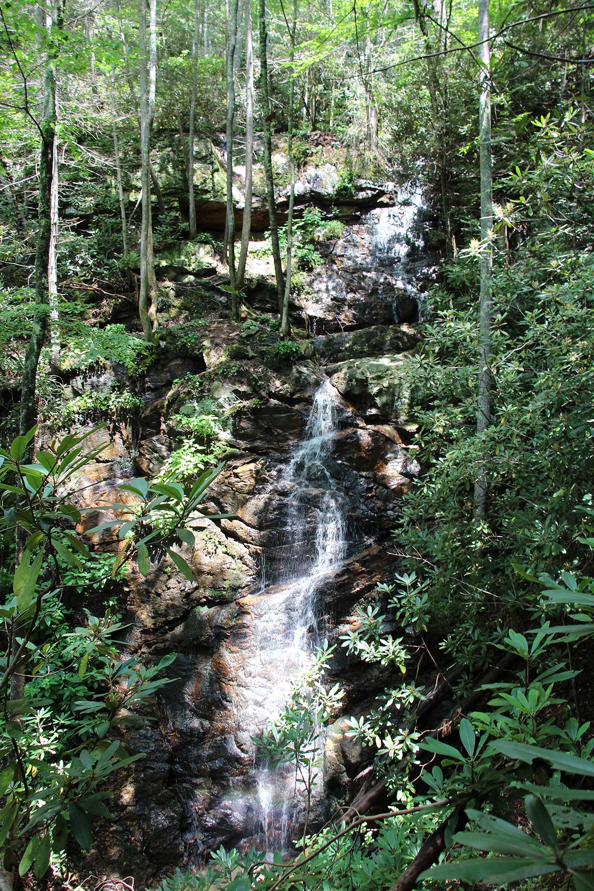 Blackberry Farm: Luxurious Mountainside Retreat in the Great Smoky Mountains Foothills