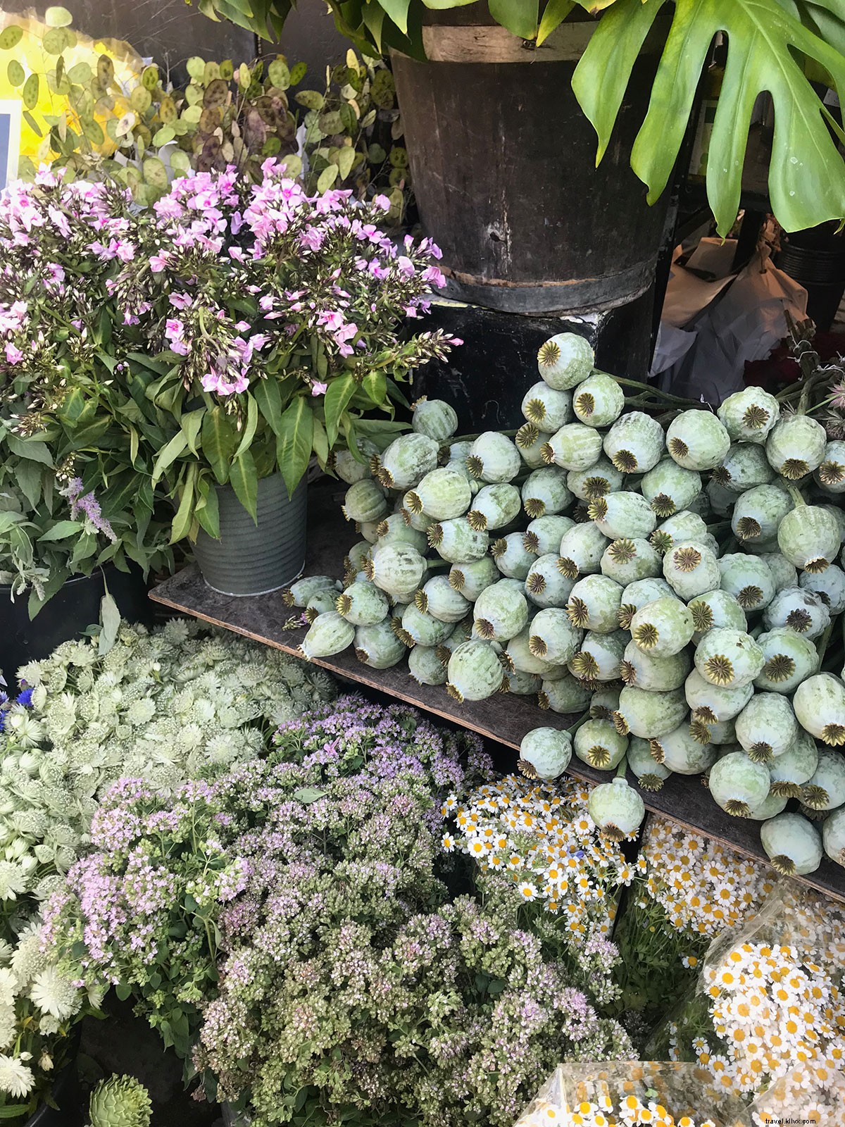 Ultimate Guide: Perfect Long Weekend Itinerary in Copenhagen