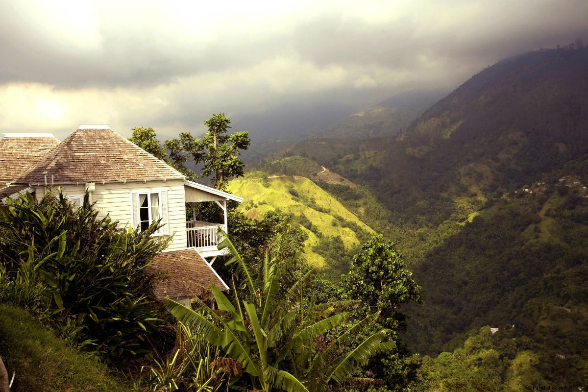 Elevate Your Escape: Blissful Retreat at Strawberry Hill in Jamaica s Blue Mountains