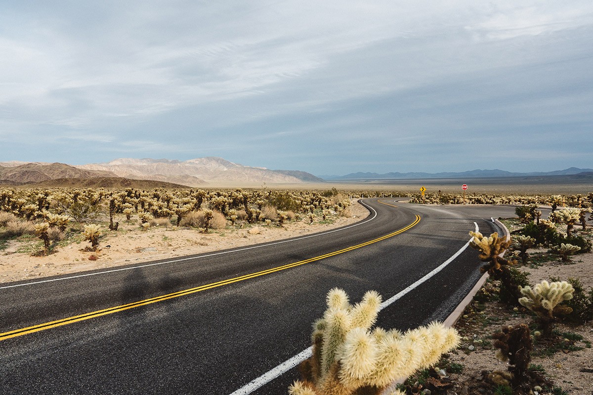 Joshua Tree & Los Angeles: Editor s Sun-Drenched Escape from NYC Winters