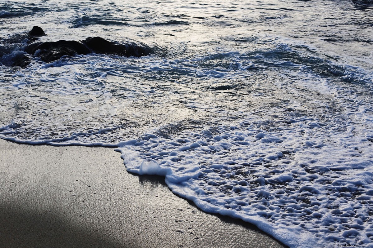 Discover Los Cabos  Enchanting New Retreat: Your Ultimate Winter Escape on Baja Peninsula