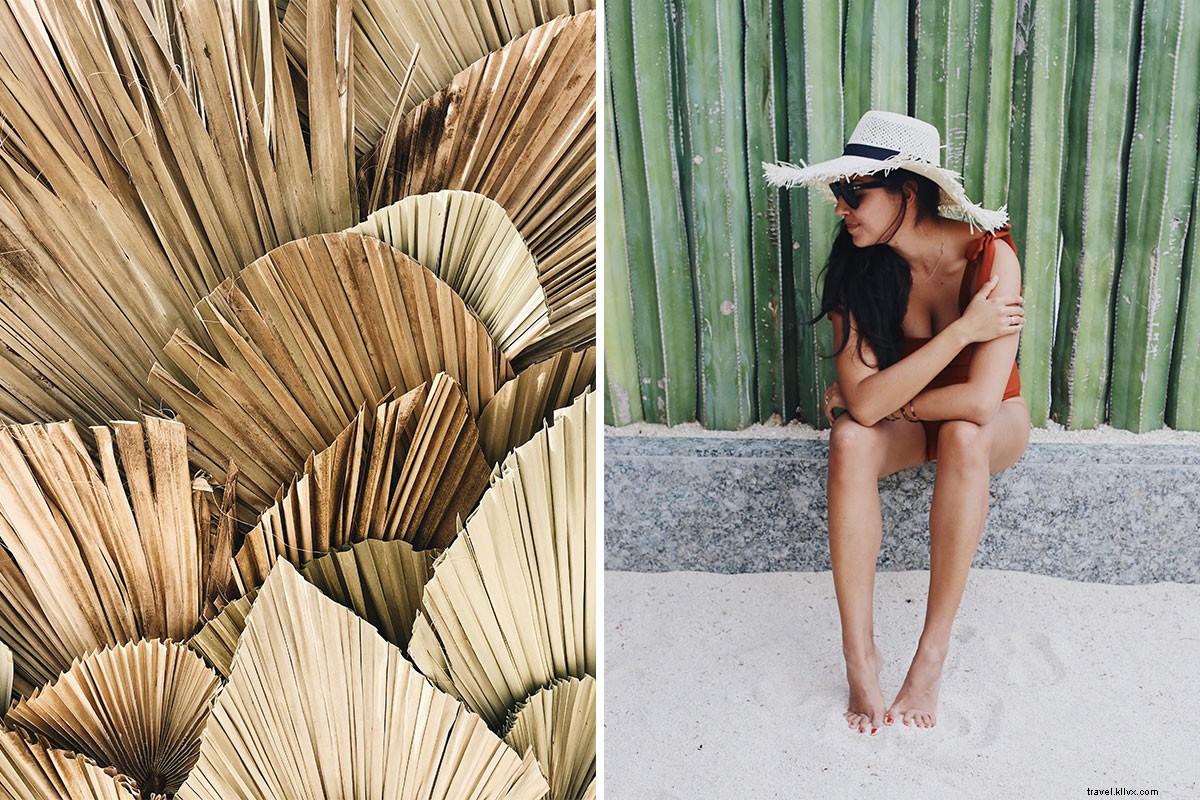 Discover Los Cabos  Enchanting New Retreat: Your Ultimate Winter Escape on Baja Peninsula