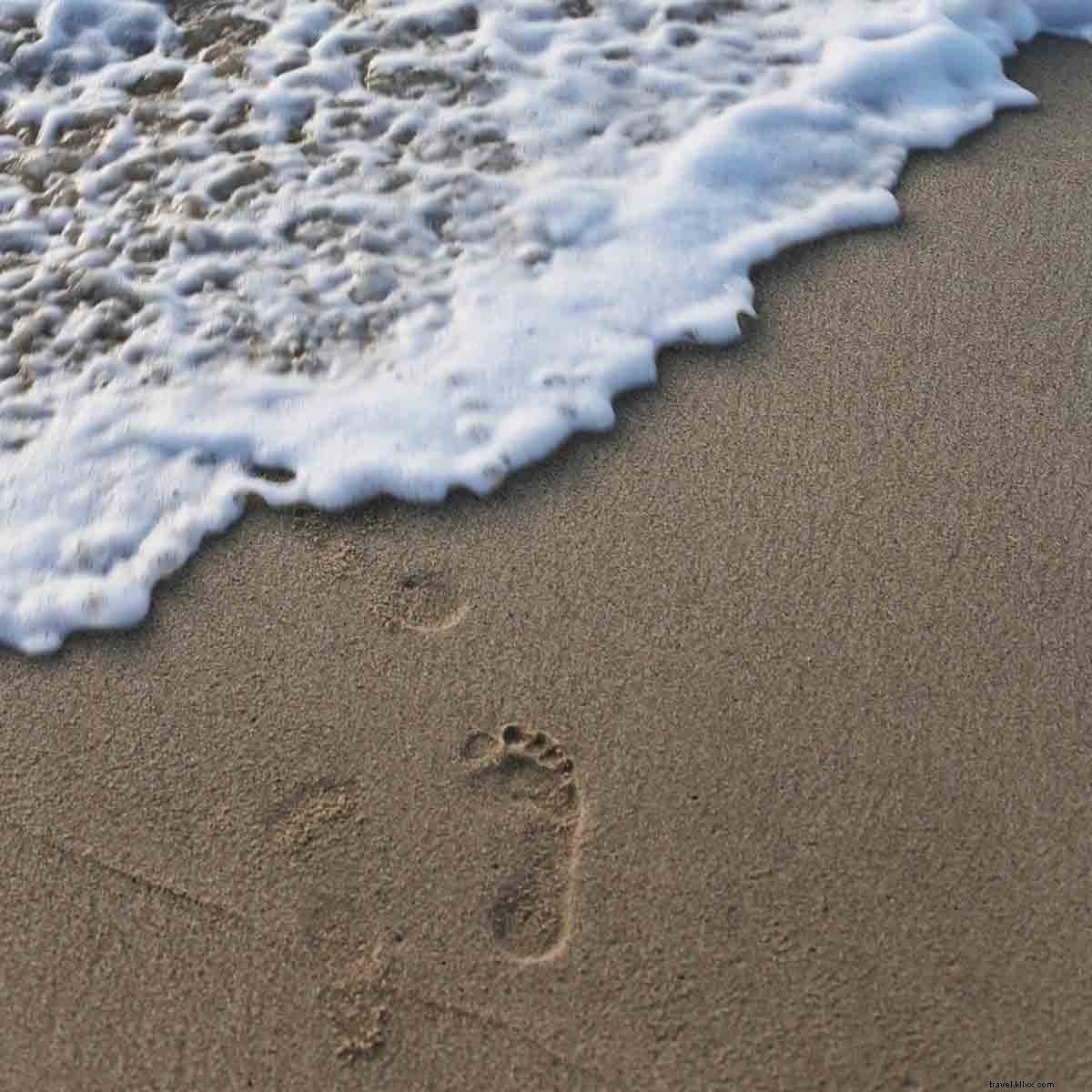 Discover Los Cabos  Enchanting New Retreat: Your Ultimate Winter Escape on Baja Peninsula