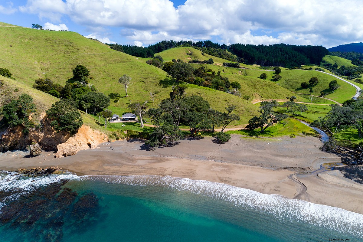 Discover a Stunning Farmstay Retreat in New Zealand s North Island
