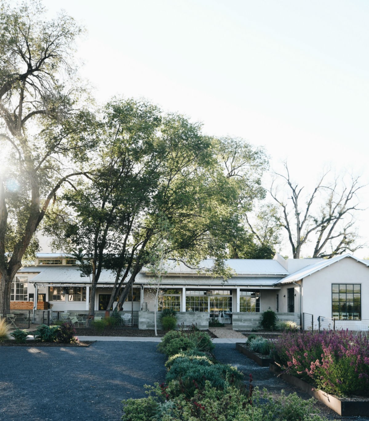 Escape to Serenity: Lavender Farm Stay in New Mexico s Desert Oasis