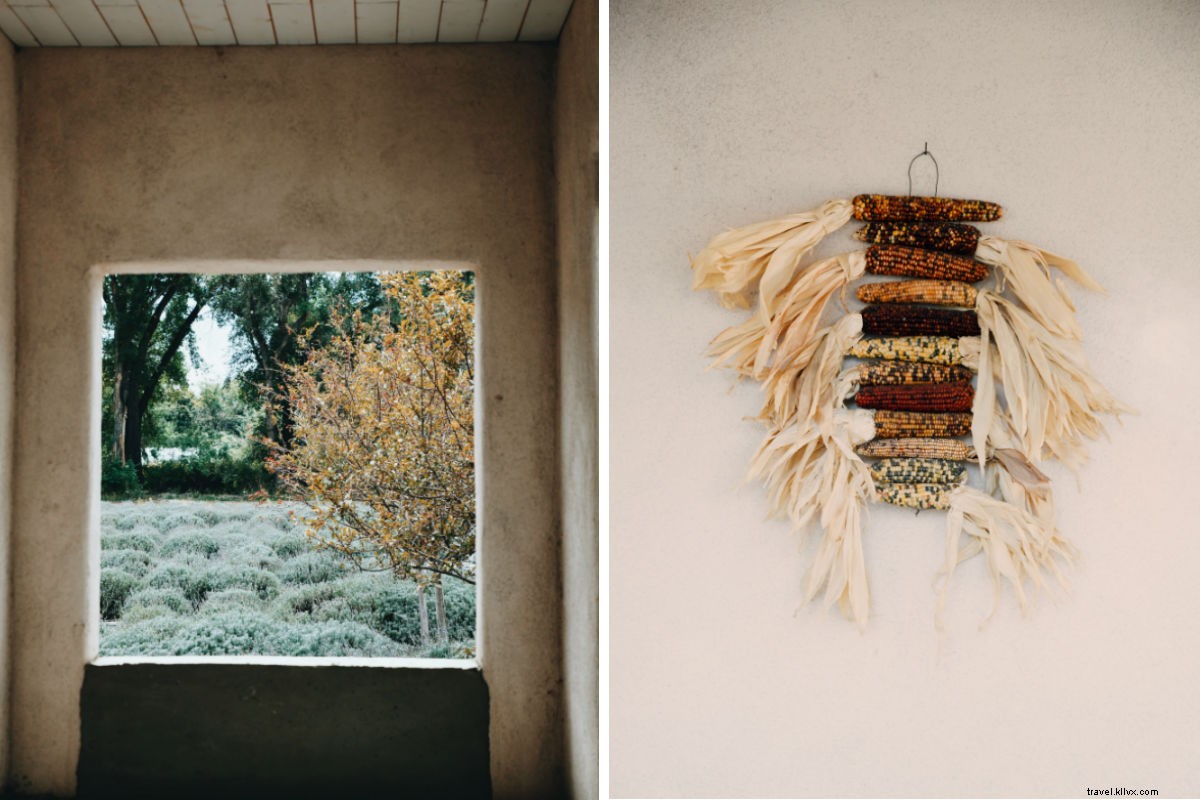 Escape to Serenity: Lavender Farm Stay in New Mexico s Desert Oasis