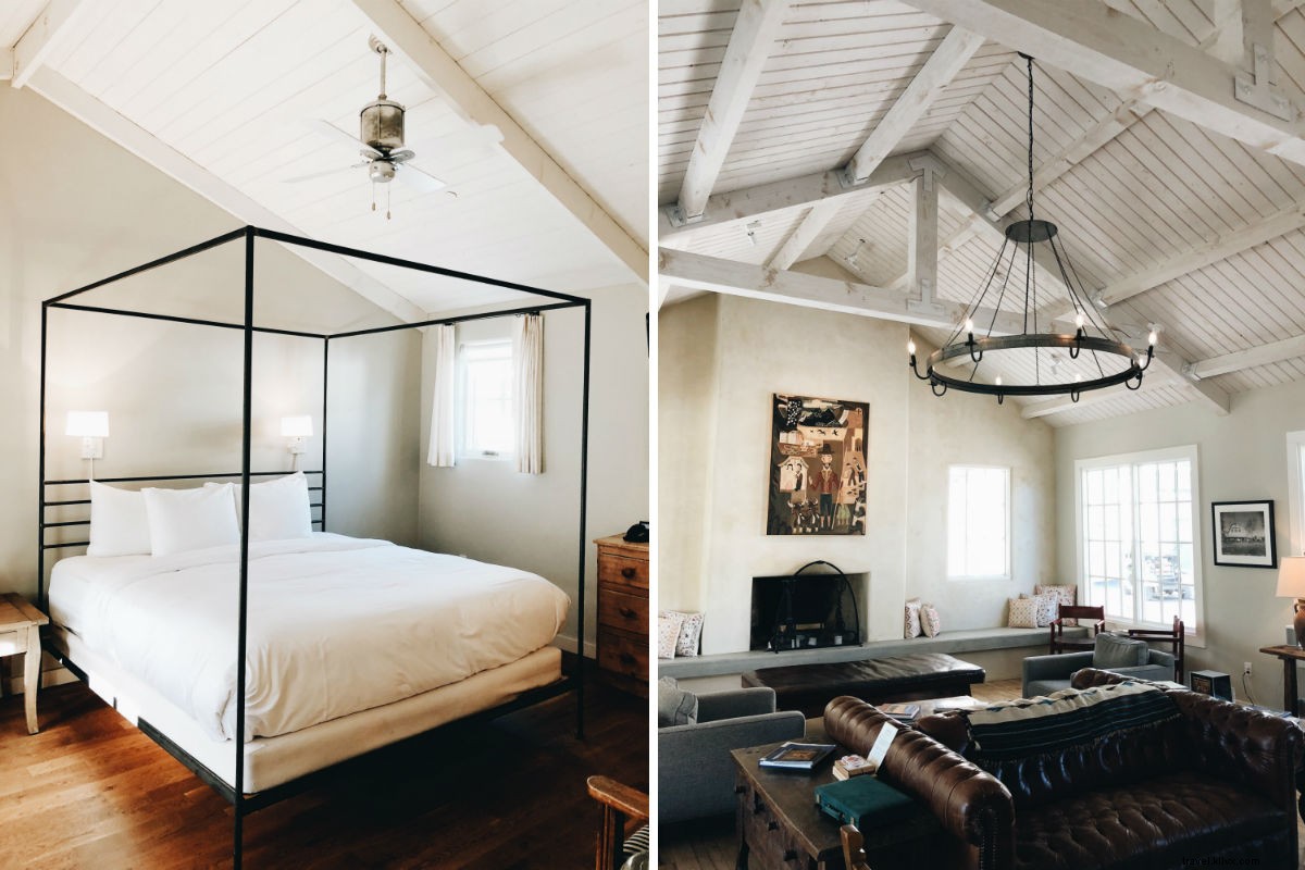 Escape to Serenity: Lavender Farm Stay in New Mexico s Desert Oasis