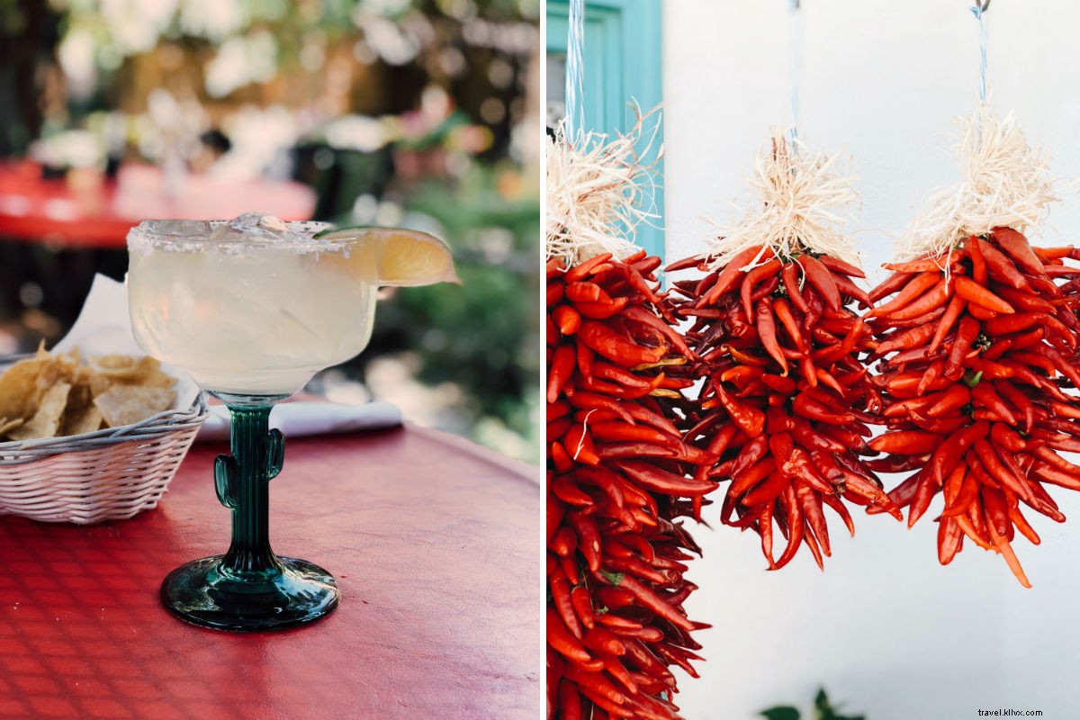 Escape to Serenity: Lavender Farm Stay in New Mexico s Desert Oasis