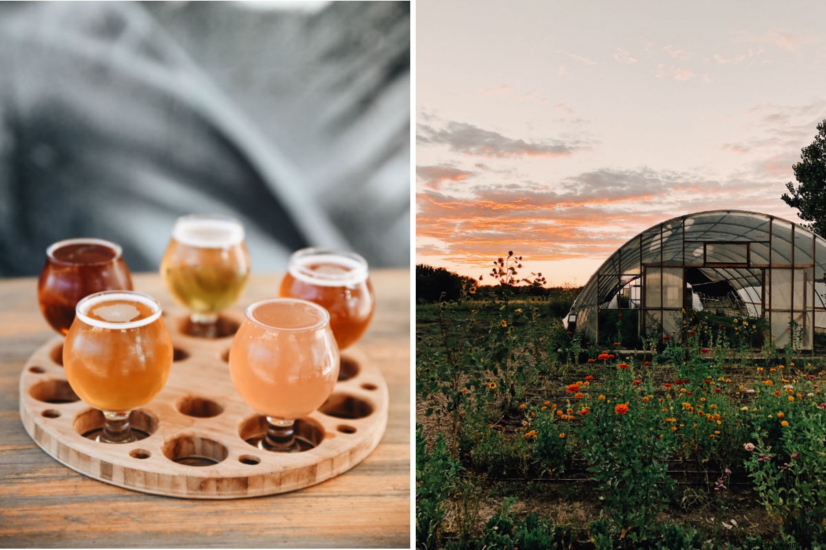 Escape to Serenity: Lavender Farm Stay in New Mexico s Desert Oasis