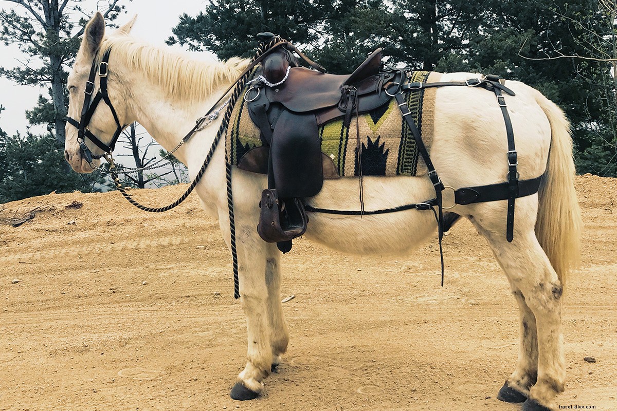 Timeless Luxury: Fine Dining and Classic Fun at The Broadmoor, Grand Dame of the Colorado Rockies