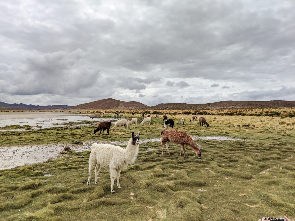 Unlock the Digital Nomad Lifestyle: Realities, Opportunities & Rewards