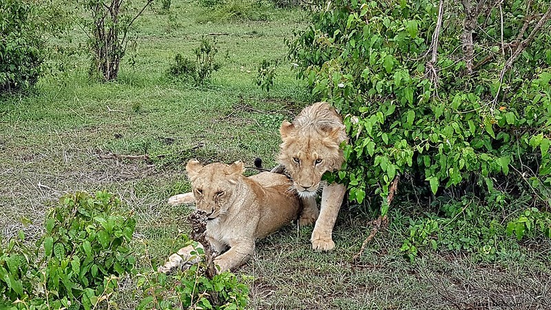 2017 Travel Highlights: Top Countries, Foods, Gear & Unforgettable Adventures