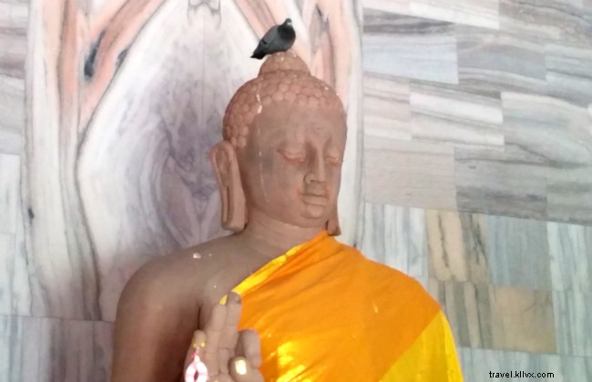 How 5 Minutes of Daily Meditation Transforms Me into a Better Traveler