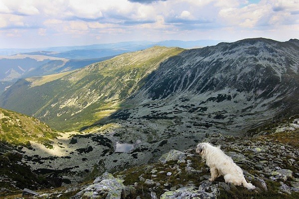 How I Secured Long-Term Residency in Romania: Beyond the 90-Day Rule