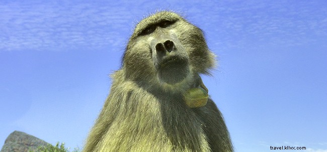 The Hidden Dangers of Traveling Without a Plan: My Terrifying Bangkok Arrival