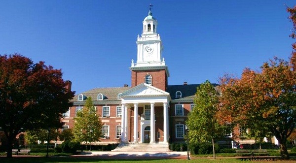 Can You Travel Long-Term Without a University Degree? The Real Answer