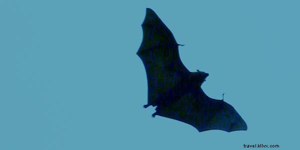 Expert Air Travel Hacks: Proven Tips to Score Cheap Flights