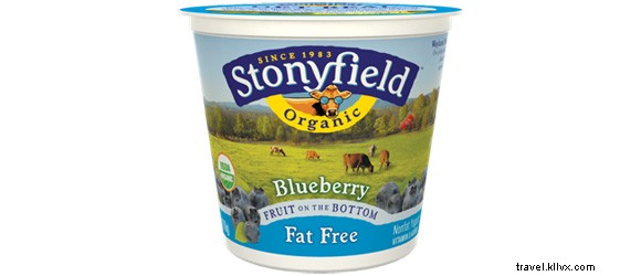 How Blueberry Yogurt Saved My Life in Playa del Carmen