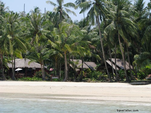 Pad Thai Perfection: Thailand s Most Irresistible Noodle Dish