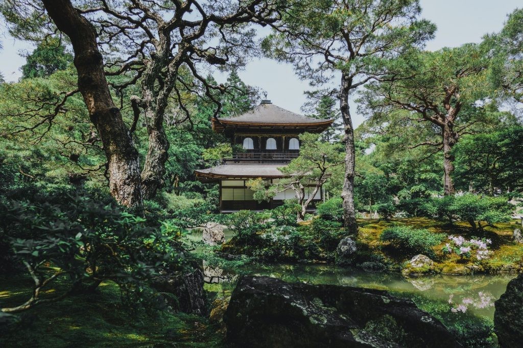 Ultimate Kyoto Travel Guide: Tips for the Most Rewarding Visit