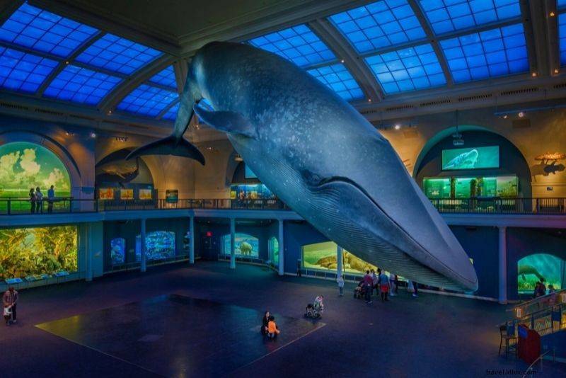 62 Best Things to Do in Manhattan: Ultimate Guide to the City s Top Attractions