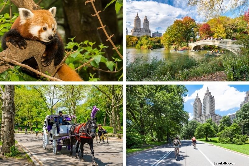 62 Best Things to Do in Manhattan: Ultimate Guide to the City s Top Attractions