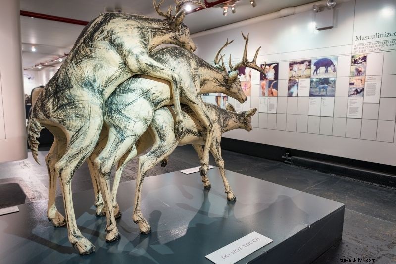 62 Best Things to Do in Manhattan: Ultimate Guide to the City s Top Attractions