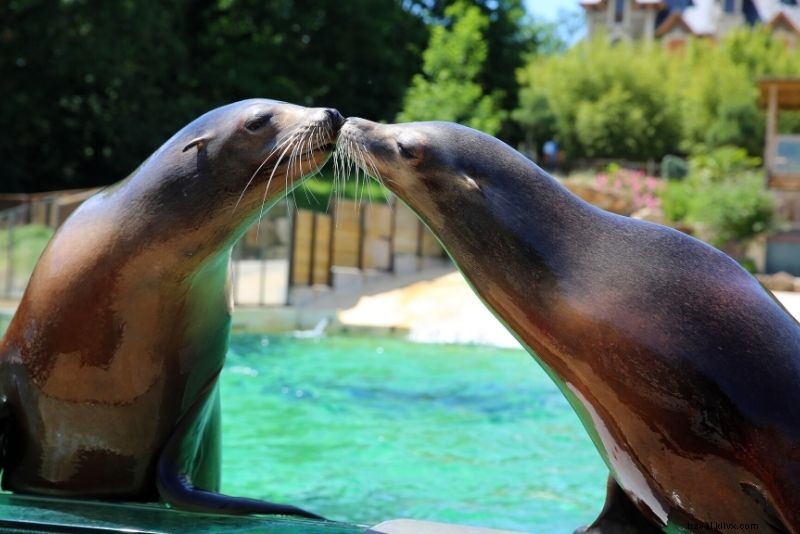 Discover 50 Fun & Unusual Things to Do in Lyon: Ultimate Guide