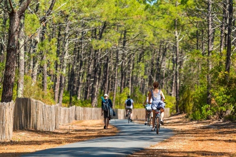 51 Exciting Things to Do in Bordeaux: Ultimate Guide to Wine, Culture & Adventures