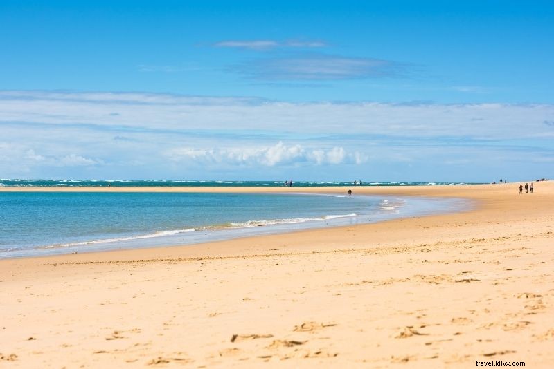 51 Exciting Things to Do in Bordeaux: Ultimate Guide to Wine, Culture & Adventures