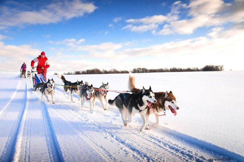 Discover 70 Fun & Unusual Things to Do in Moscow