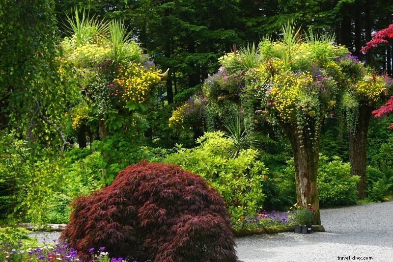 42 Must-Do Activities in Juneau, Alaska: Ultimate Adventure Guide