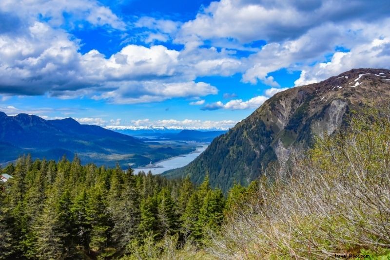 42 Must-Do Activities in Juneau, Alaska: Ultimate Adventure Guide